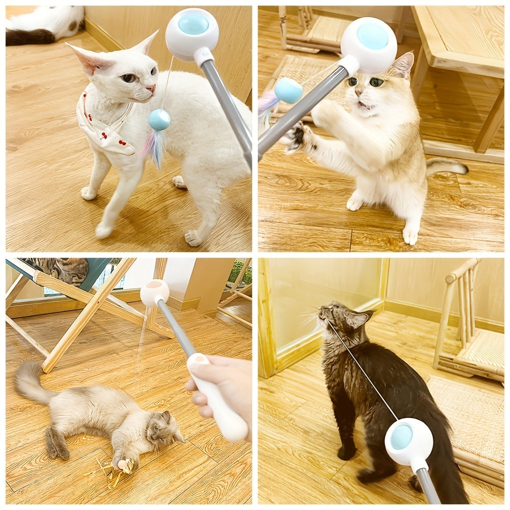 Indoor cats chasing and playing with a retractable cat wand toy