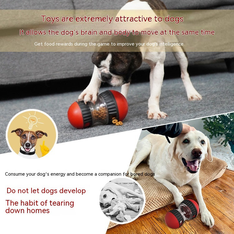 Dogs playing with interactive wobble treat toys to beat boredom indoors