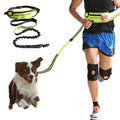 Runner jogging with a dog on a hands free dog leash and waist belt