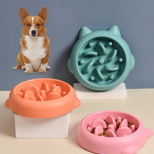 Corgi sitting beside teal, orange and pink anti-gulp slow feeder bowls