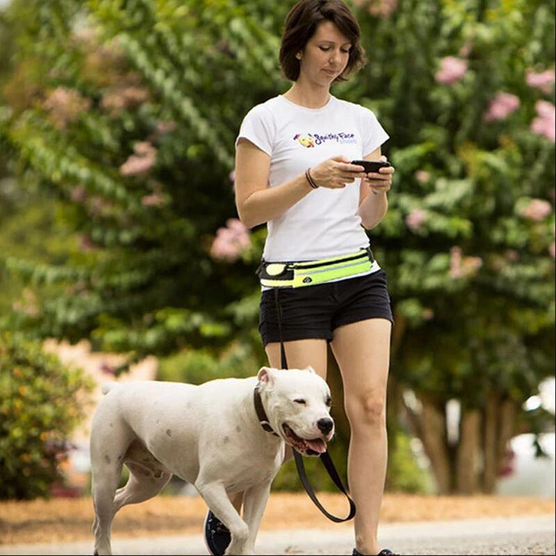 Woman walking a white dog with a hands free waist leash while checking her phone