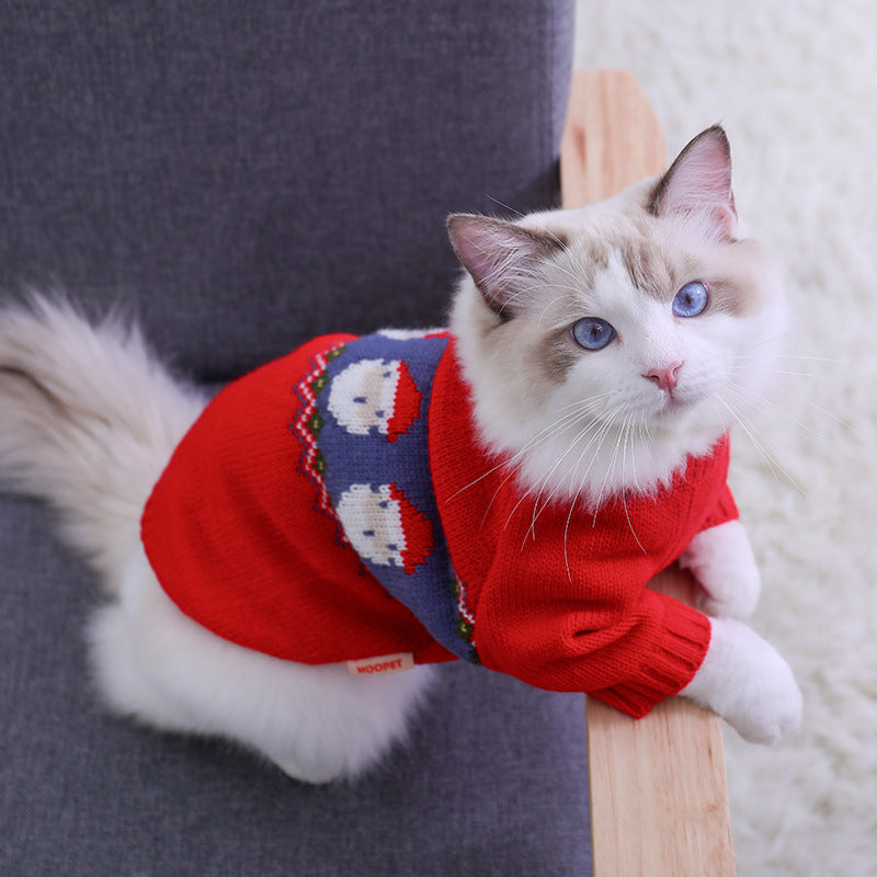 Cat on a chair wearing the red Christmas pet sweater
