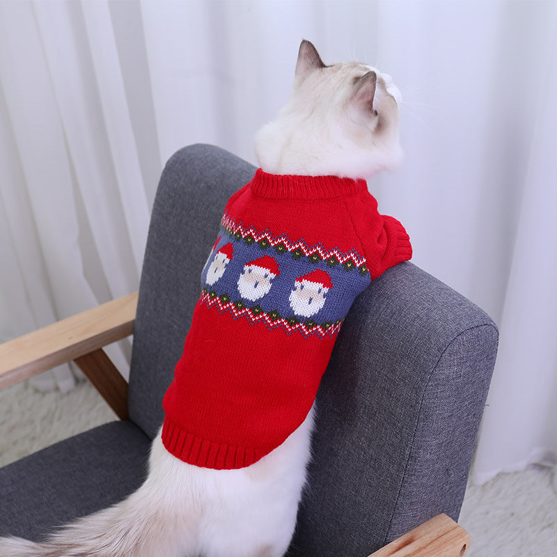 Back view of a cat in the red jacquard Christmas sweater