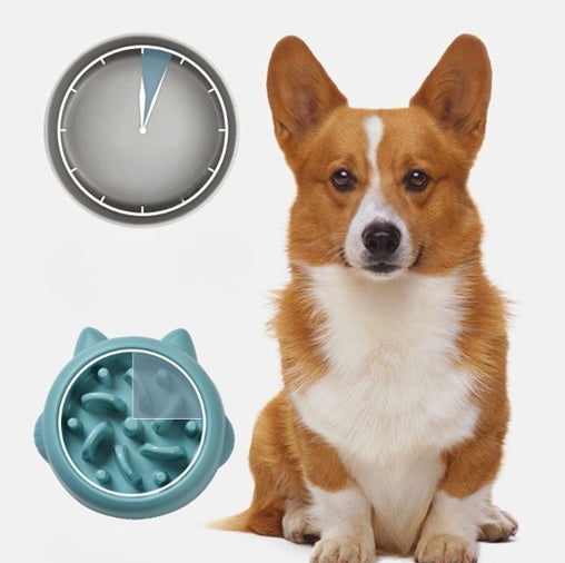 Corgi next to a teal slow feeder bowl and clock, showing slower mealtime