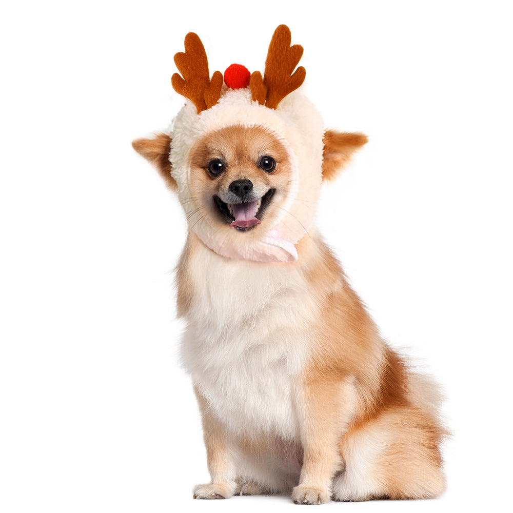 Small dog wearing the white plush reindeer antler headband