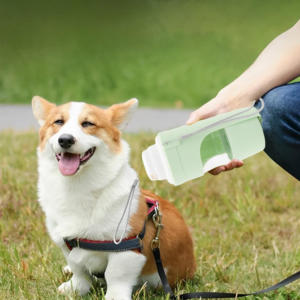 Owner offering water to a corgi from a 2-in-1 travel dog water bottle outdoors