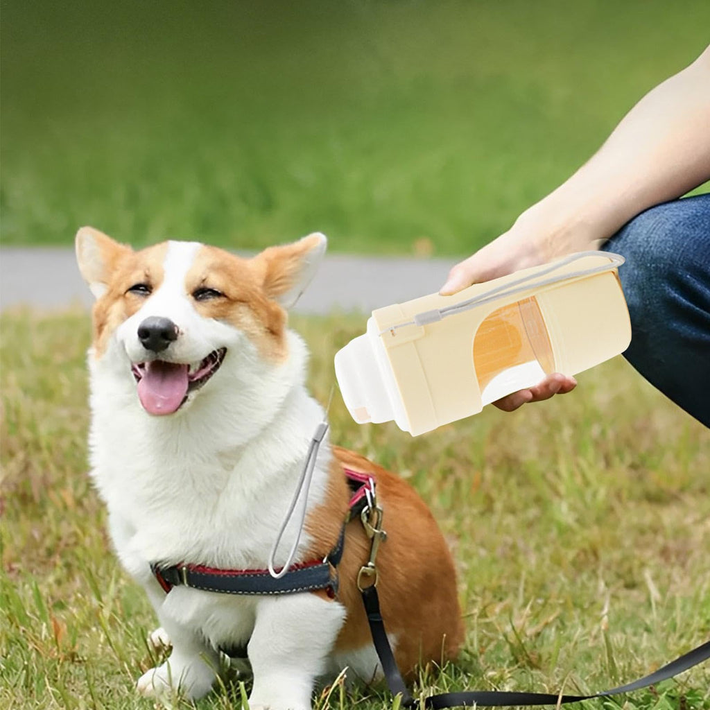 Corgi drinking from a portable dog water bottle held by its owner in the park