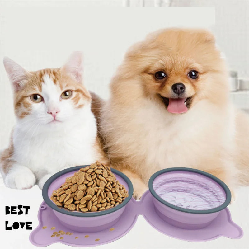 Cat and Pomeranian beside a collapsible double dog bowl filled with food and water