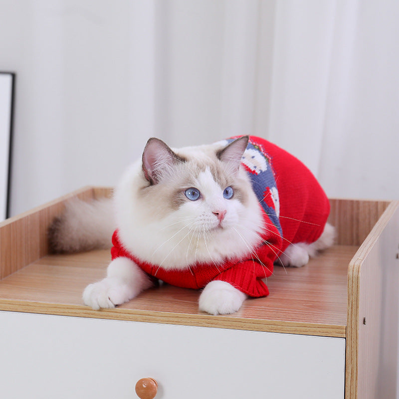 Cat sitting in a red knit Christmas sweater with a Santa face band